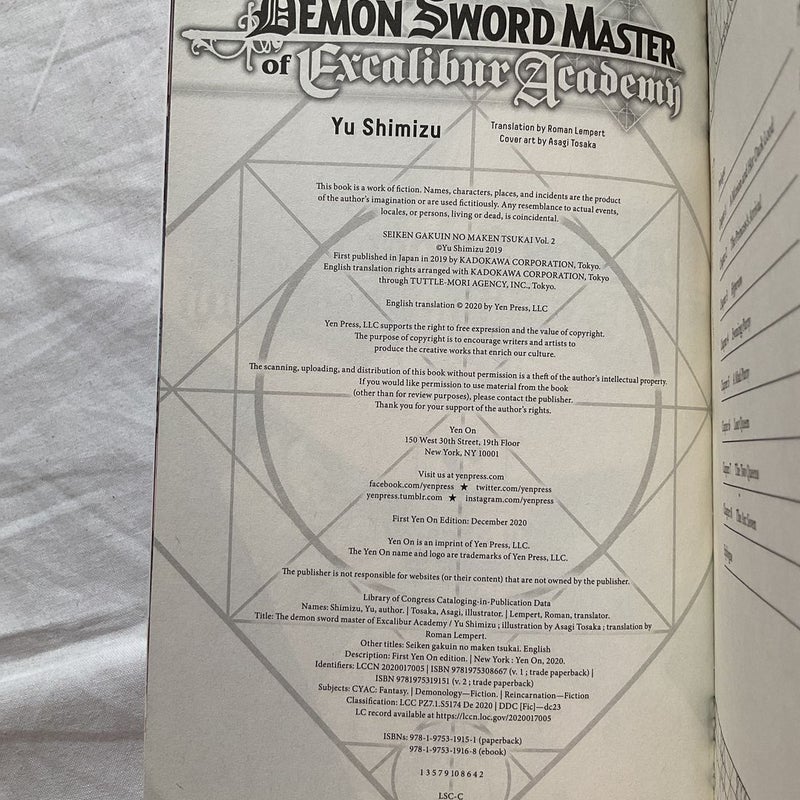 The Demon Sword Master of Excalibur Academy, Vol. 2 (light Novel)