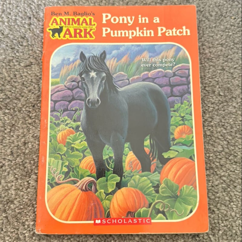 Pony in a Pumpkin Patch