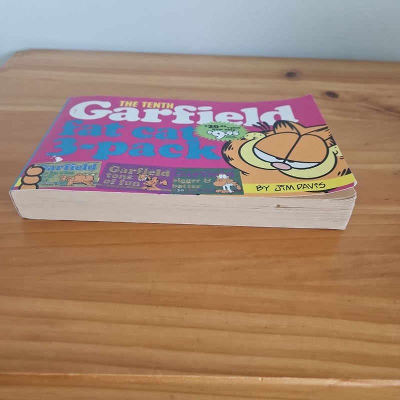 Garfield Fat Cat 3-Pack #10