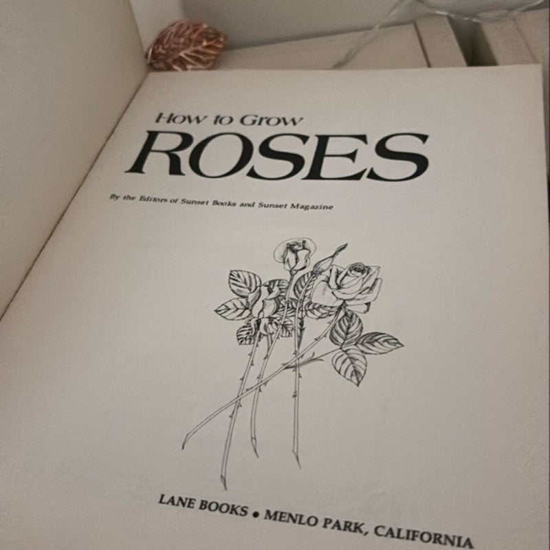 How to Grow Roses