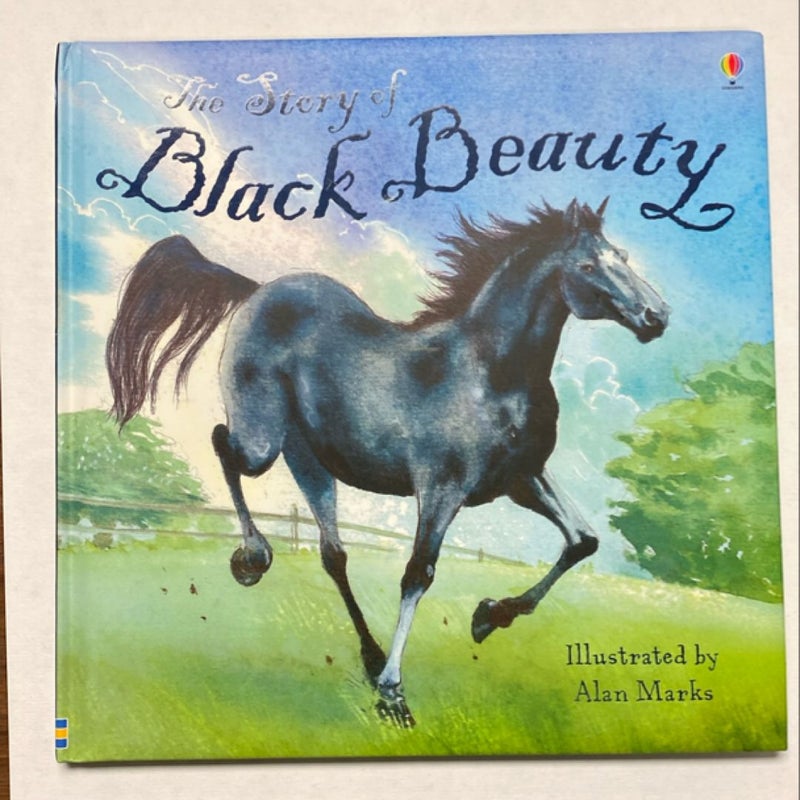 Black Beauty (Picture Book)