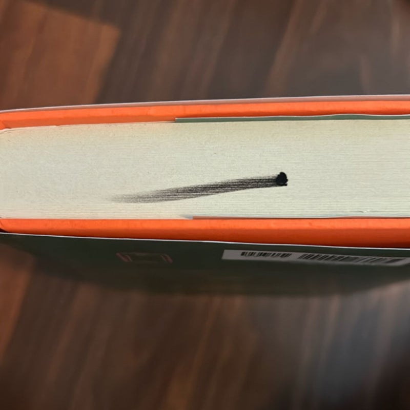 The Other Side of Lost