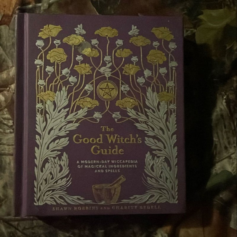 The Good Witch's Guide