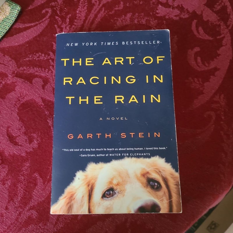 The Art of Racing in the Rain