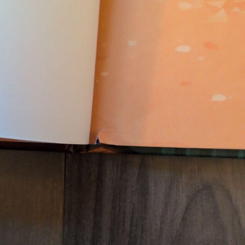 On the Construction Site: A shine -a- light book
