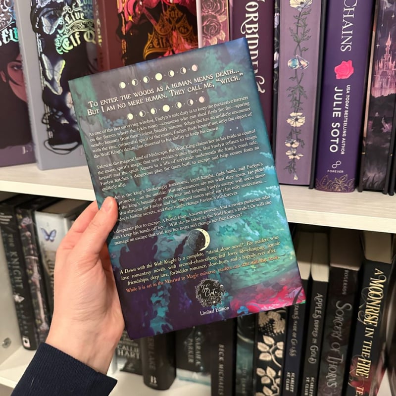 A Dawn with the Wolf Knight