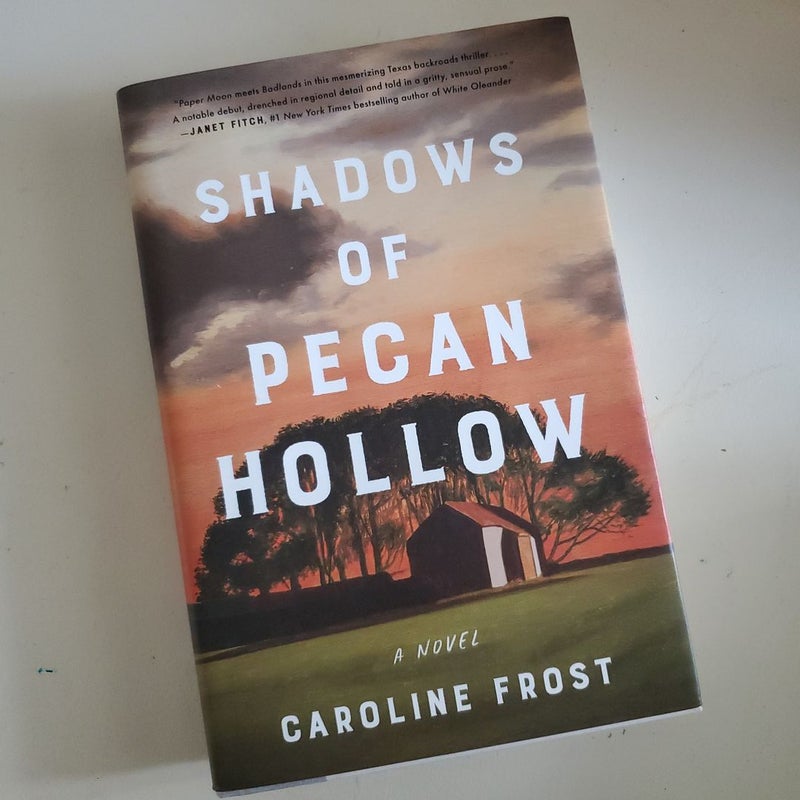 Shadows of Pecan Hollow