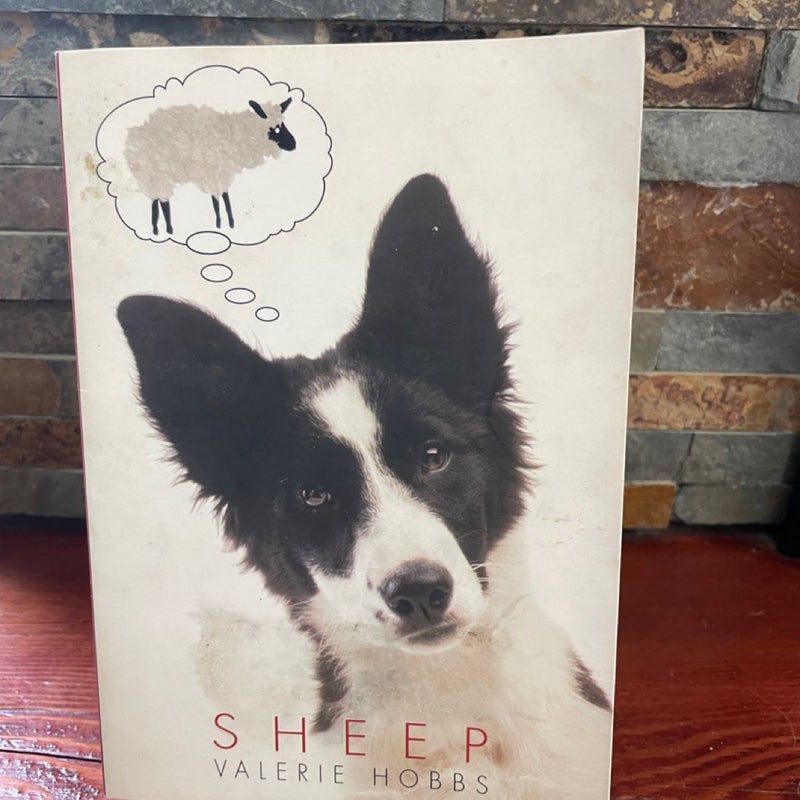Sheep