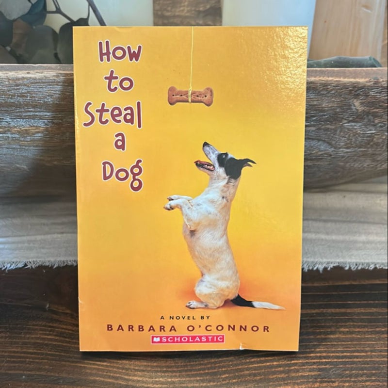 How to Steal a Dog