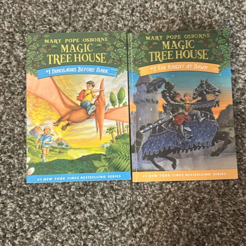 Magic Tree House 1,2,3,5,6