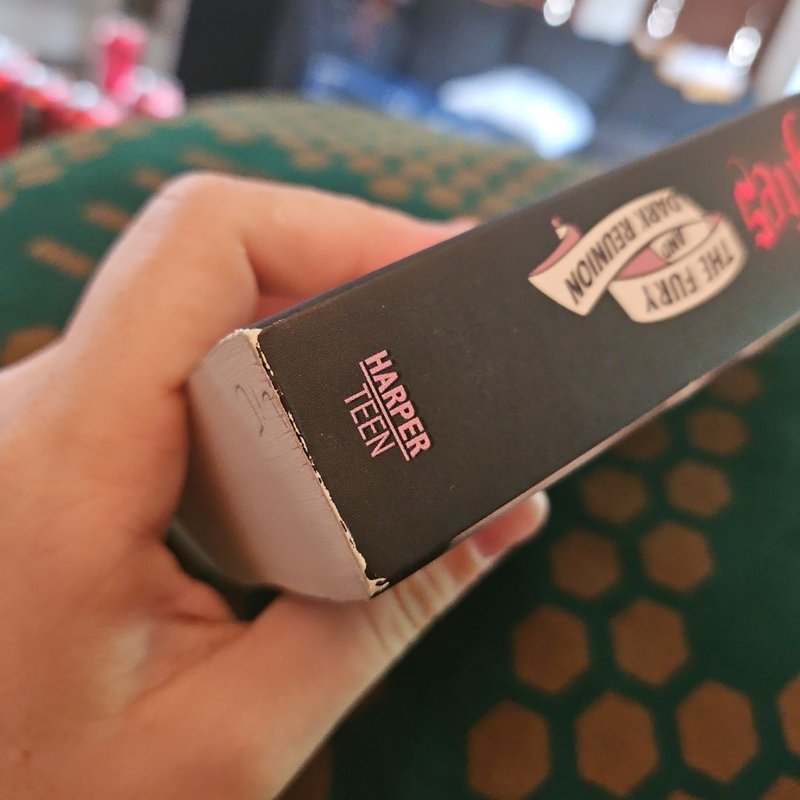 The Vampire Diaries: the Fury and Dark Reunion