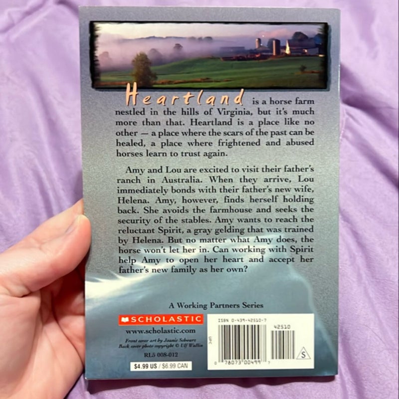 Heartland #15: Love Is a Gift