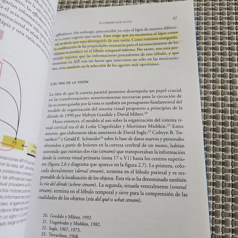 Las neuronas espejo