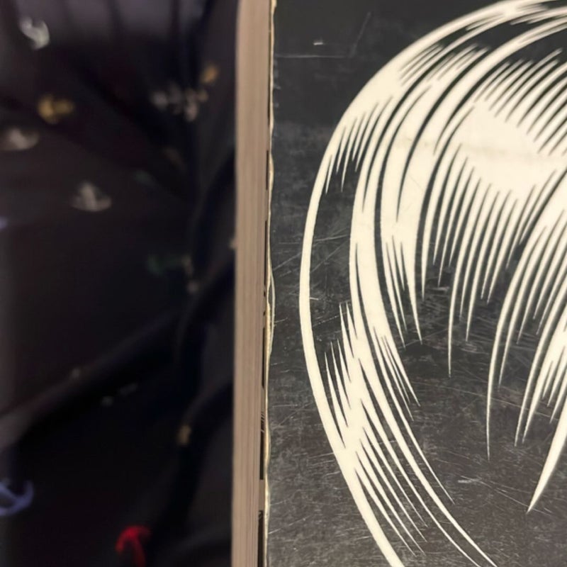 Black Hole