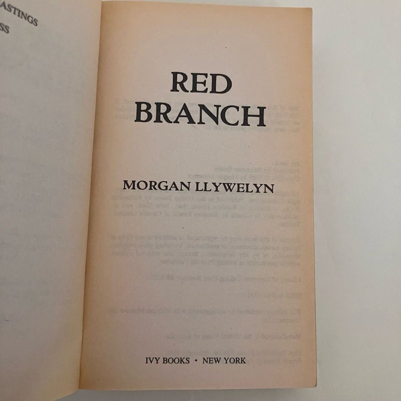 Morgan Llywelyn Historical Fiction Bundle