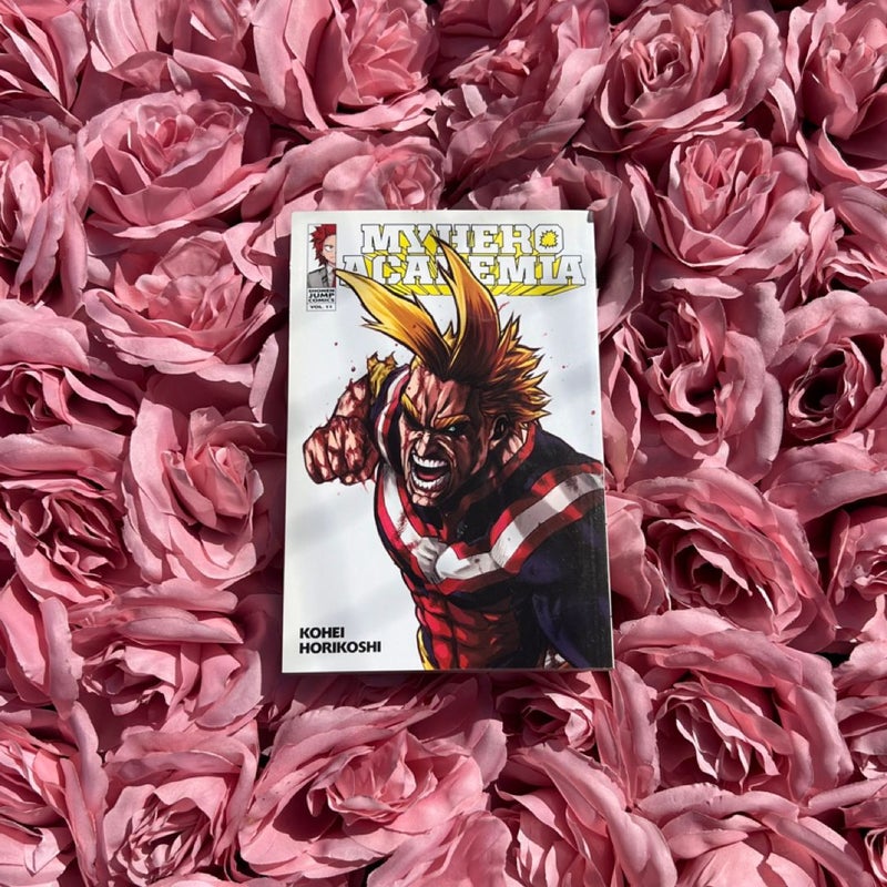 My Hero Academia, Vol. 11