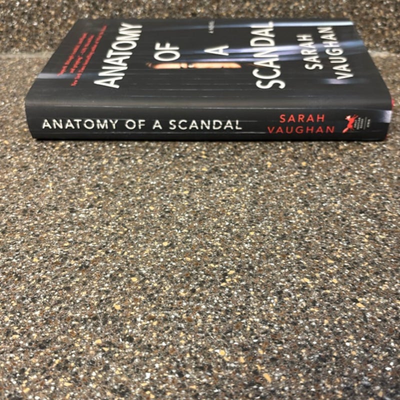 Anatomy of a Scandal