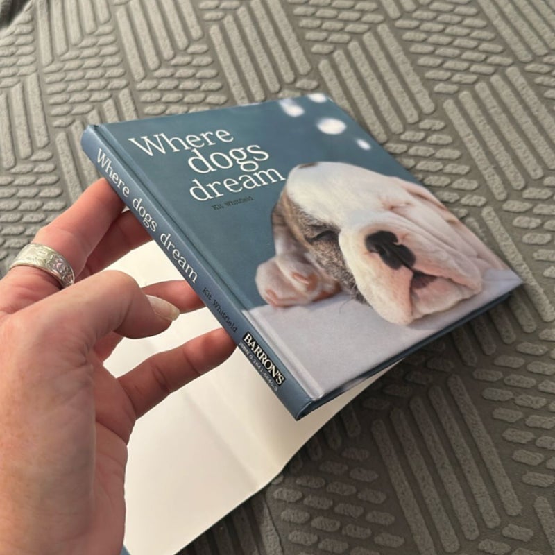 Where Dogs Dream