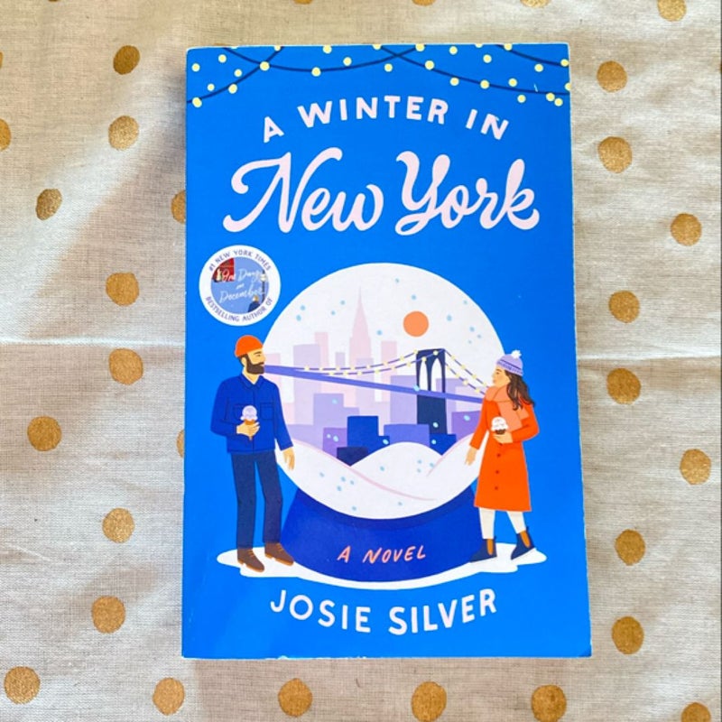 A Winter in New York