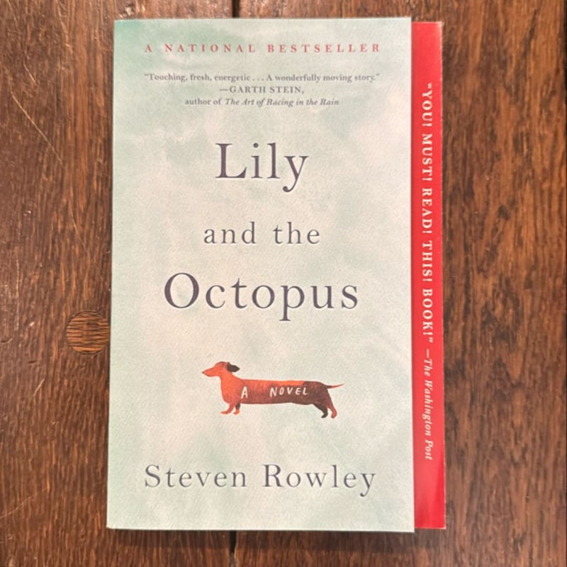 Lily and the Octopus