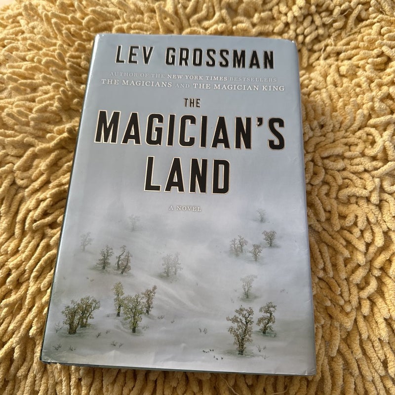 The Magician's Land