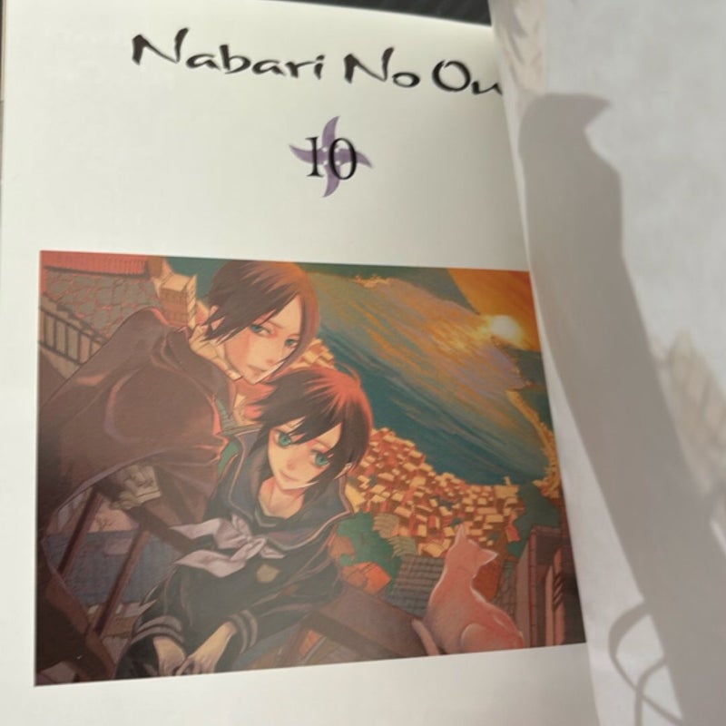 Nabari No Ou, Vol. 10