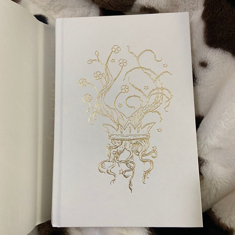 the cruel prince series barnes and noble exclusive editions