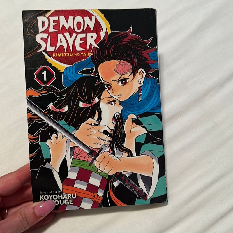 Demon Slayer: Kimetsu No Yaiba, Vol. 1