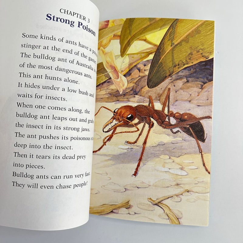 Armies of Ants, Early Reader