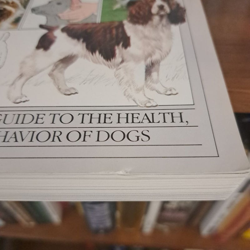 You and Your Dog