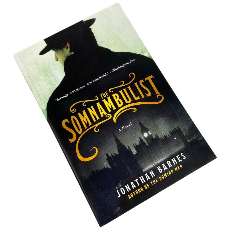 The Somnambulist