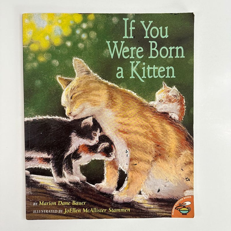 If You Were Born a Kitten