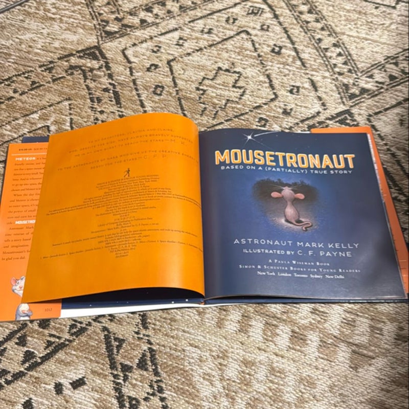 Mousetronaut