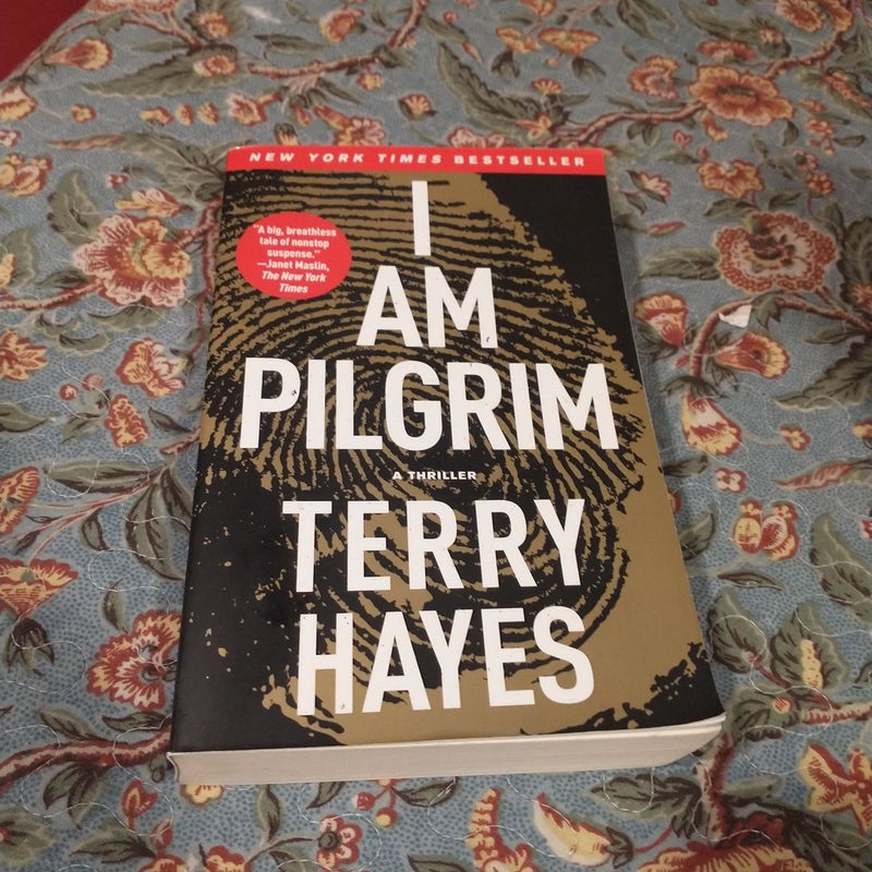 I Am Pilgrim