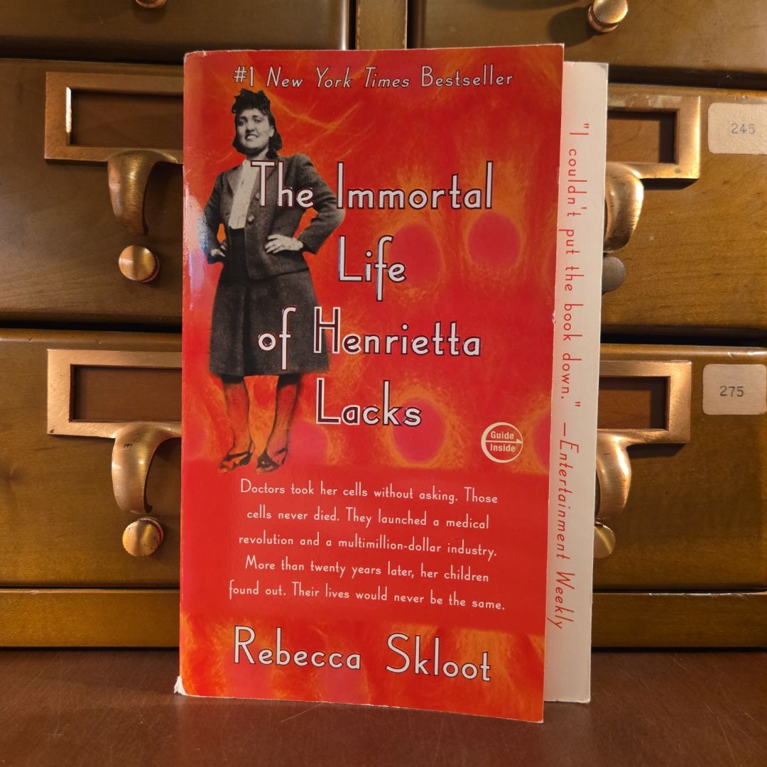 Sale image for 19b2308a-9558-44ee-b6f3-4d7c7059fefd-2NuxQSg3jgUDbwa8PfNVsAdIHeO2