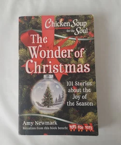 Chicken Soup for the Soul: the Wonder of Christmas