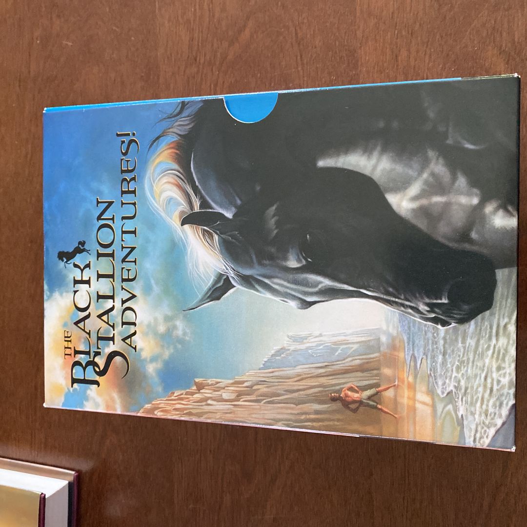 The Black Stallion Adventures