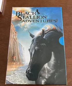 The Black Stallion Adventures