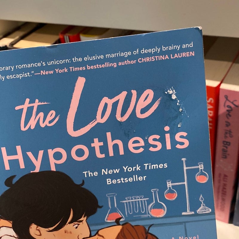 The Love Hypothesis (See Description)