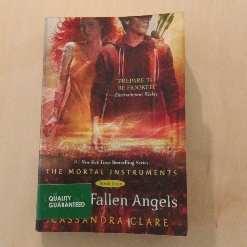 City of Fallen Angels