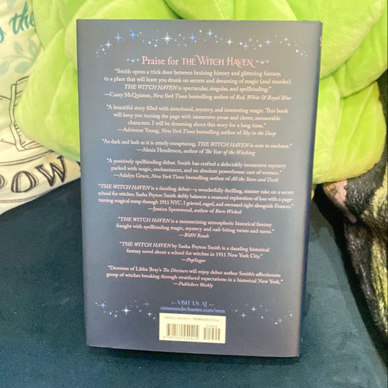 The Witch Hunt by Sasha Peyton Smith, Hardcover | Pangobooks