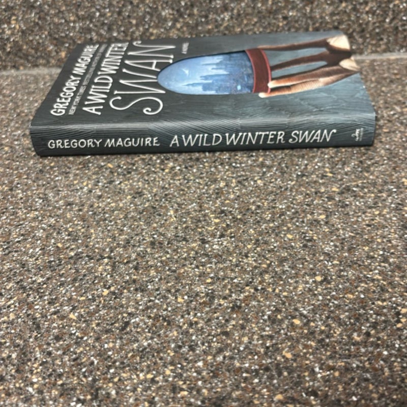 A Wild Winter Swan