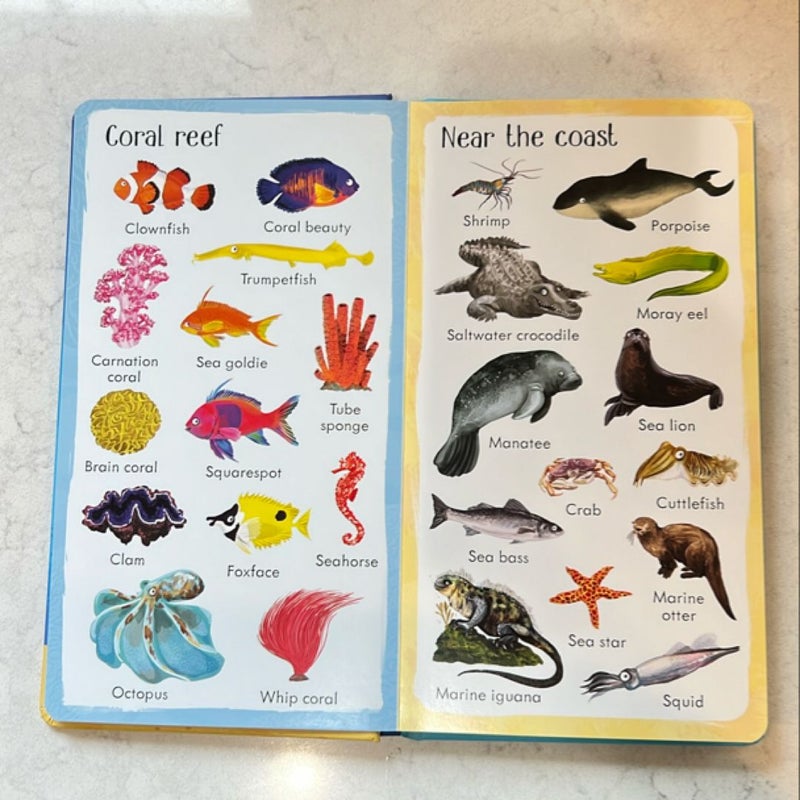 199 Things under the Sea