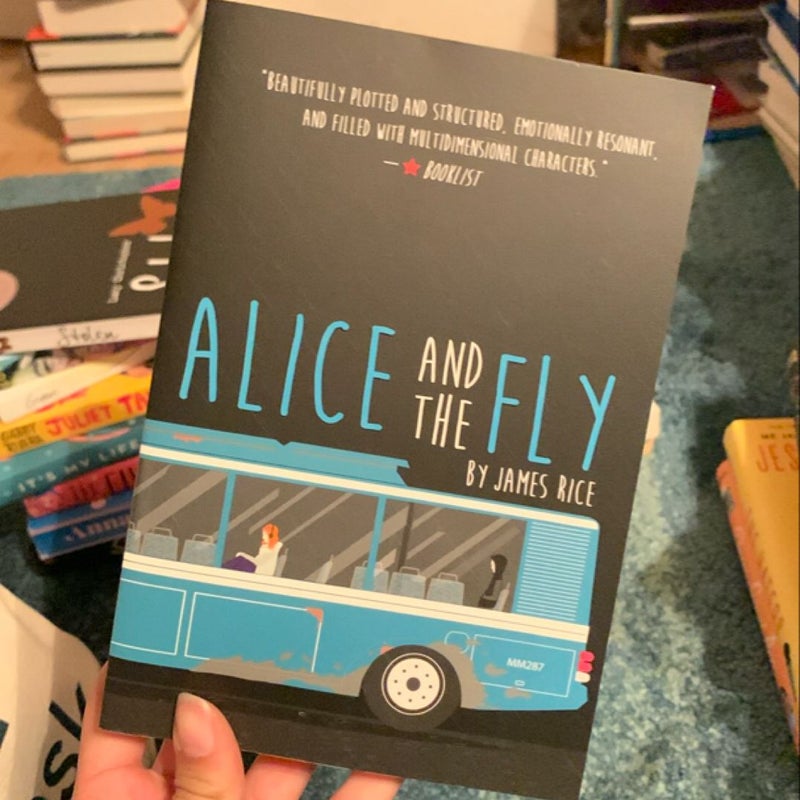 Alice and the fly