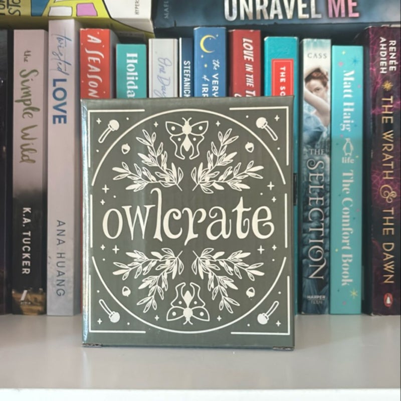City Of Starlight Display Board (Owlcrate)