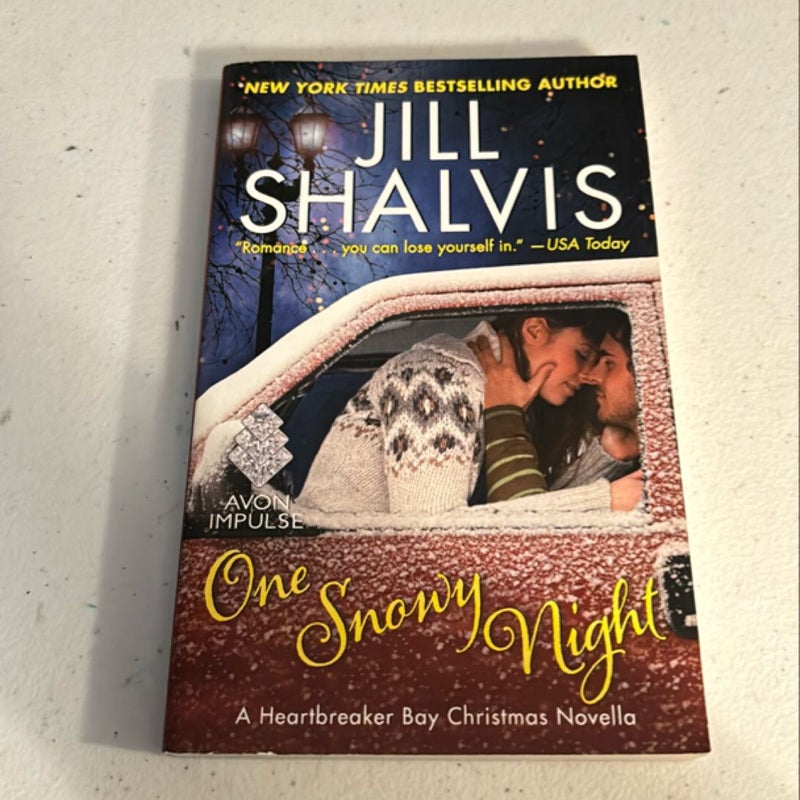 One Snowy Night
