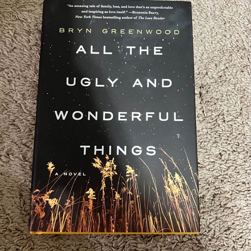 All the Ugly and Wonderful Things 