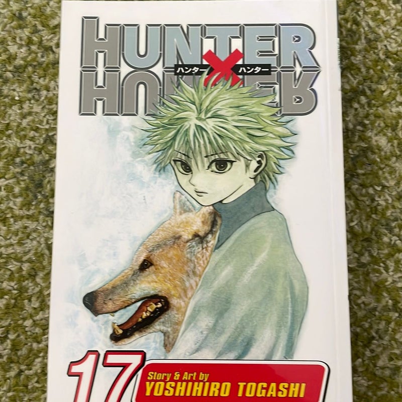 Hunter X Hunter, Vol. 17