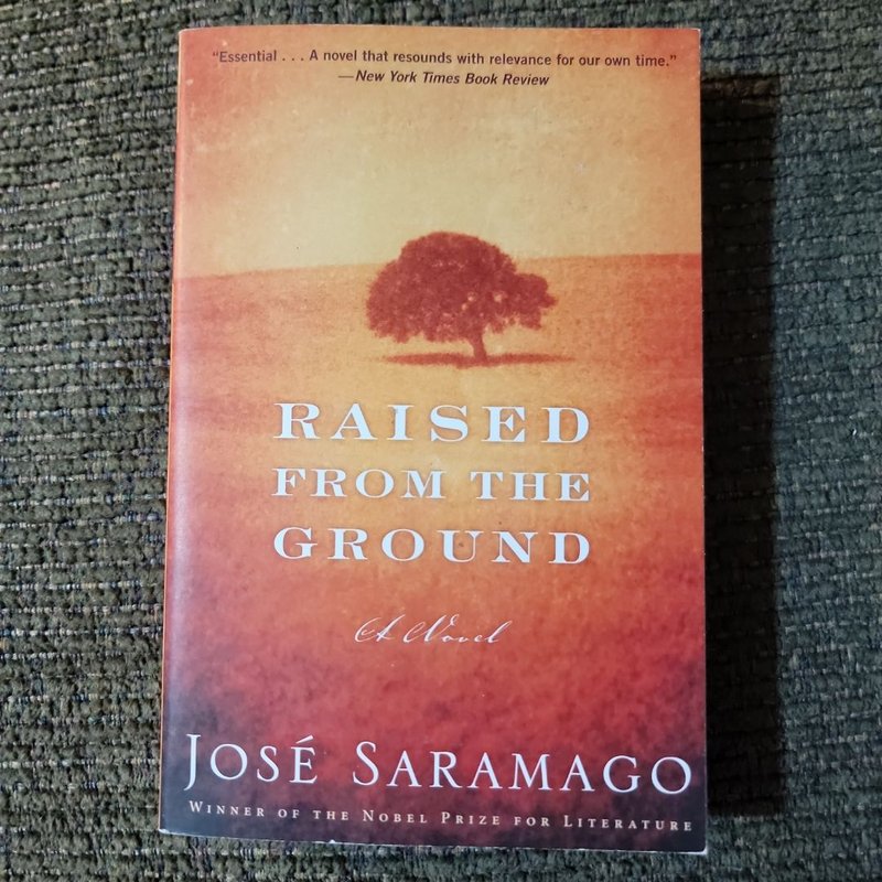 Raised from the Ground