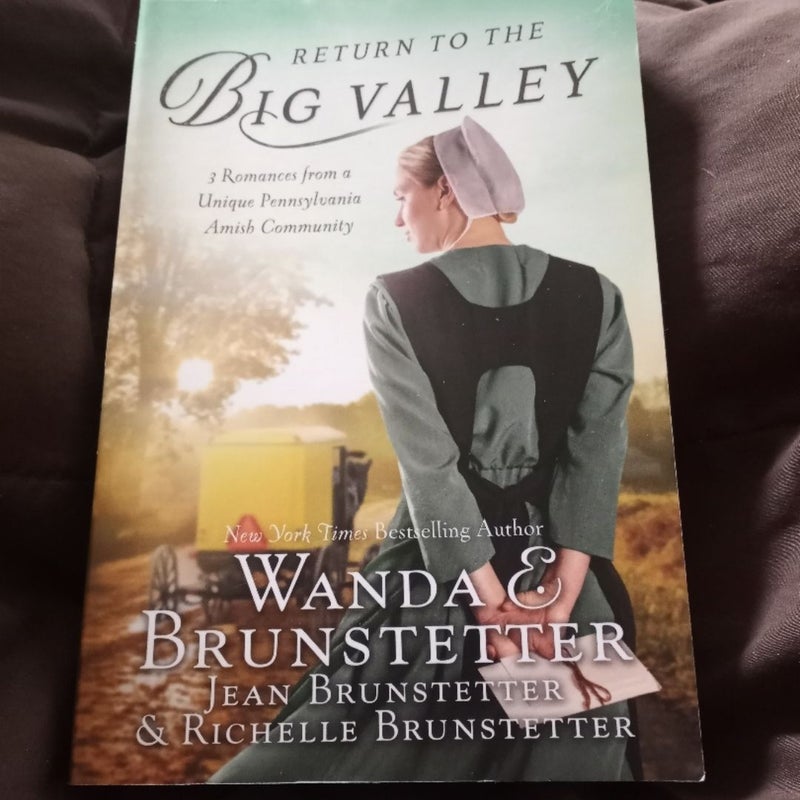 The Return to the Big Valley